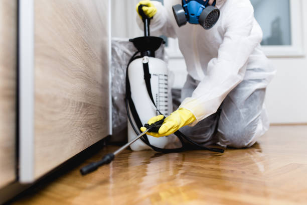 Best Wildlife Control Services  in Sage, CA