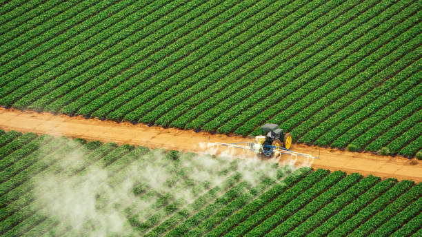Best Mosquito Control Services  in Sage, CA
