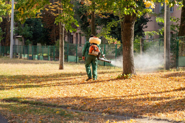Best Cockroach Control Services  in Sage, CA