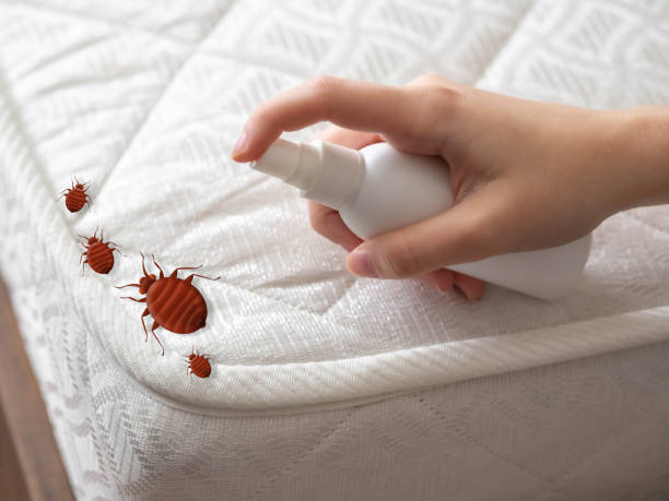 Best Pest Prevention Services  in Sage, CA